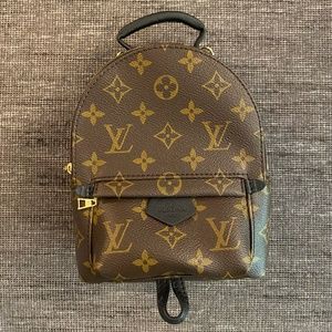 Louis Vuitton | Palm Springs Mini